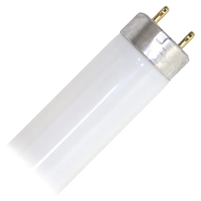 lightsdaddy924534
