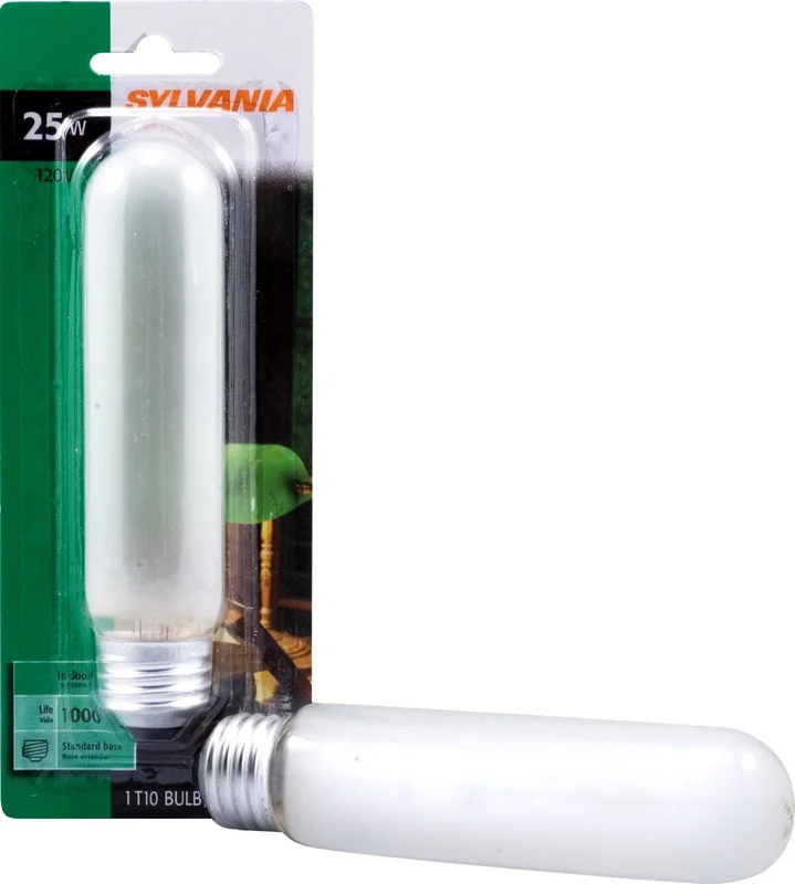 lightsdaddy924556