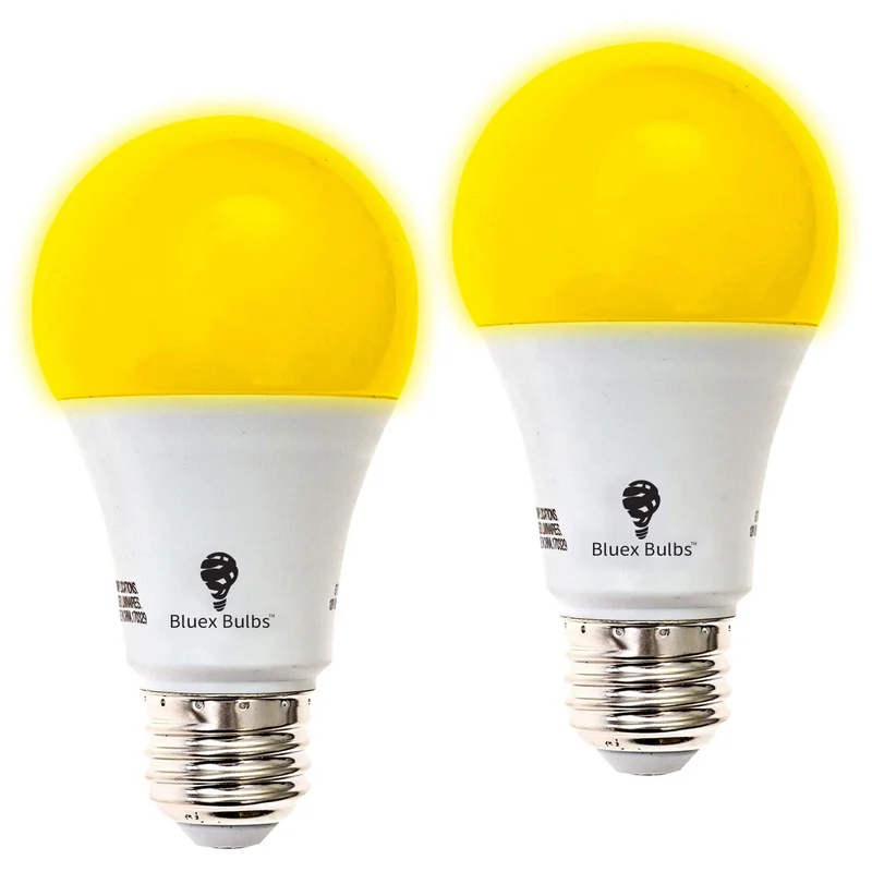 lightsdaddy938176