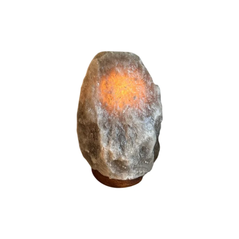 radilum128344
