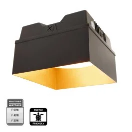 superbrightleds84527