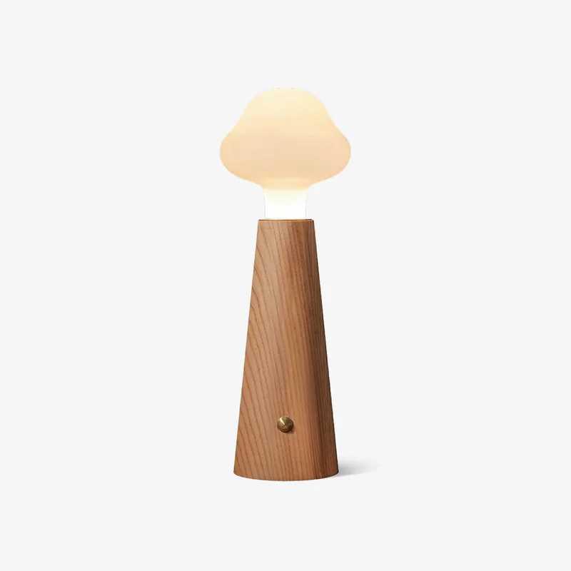 vakkerlight134270