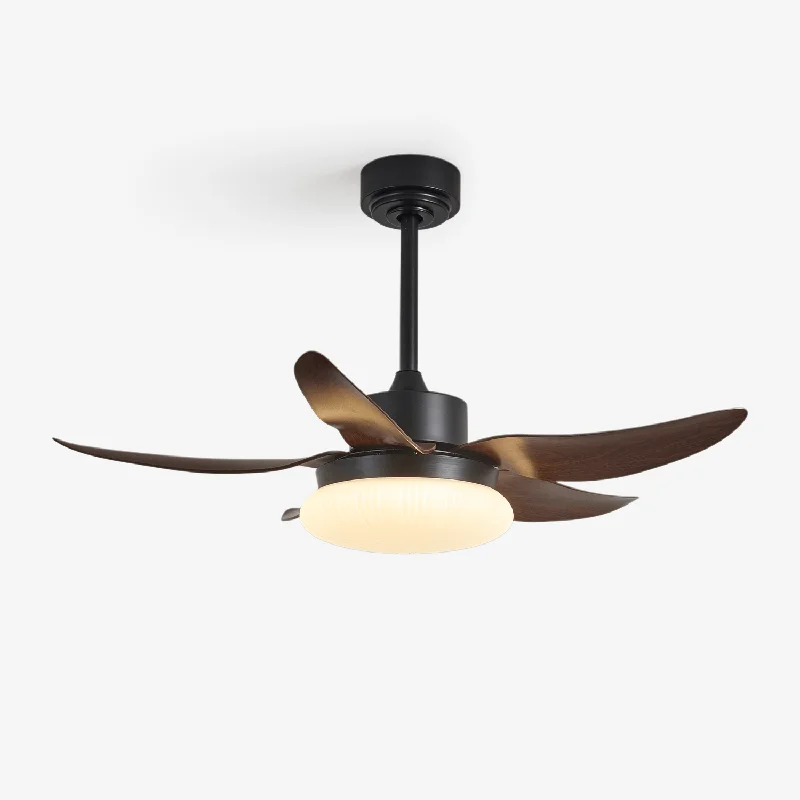 vakkerlight153941
